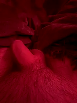 Snapshot of couplefuck__ chatting on December 16, 2025, 7:57 am couplefuck online show from December 16, 2025, 7:57 am