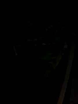 sr dias online show from November 13, 2025, 8:46 am