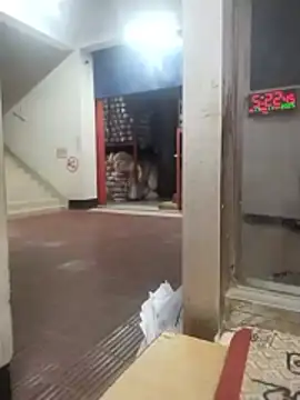 Snapshot of sk24d chatting on November 17, 2025, 11:27 am sk24d online show from November 17, 2025, 11:27 am