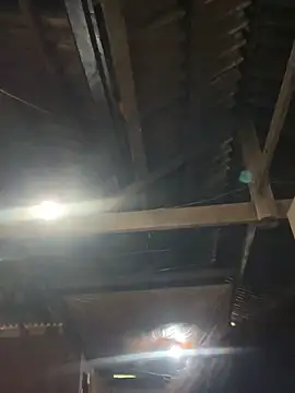 Snapshot of EmLy02 chatting on April 16, 2026, 11:00 am EmLy02 online show from April 16, 2026, 11:00 am