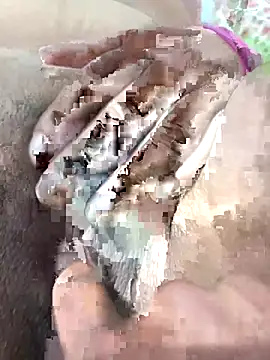 ache45 online show from November 7, 2025, 9:15 pm