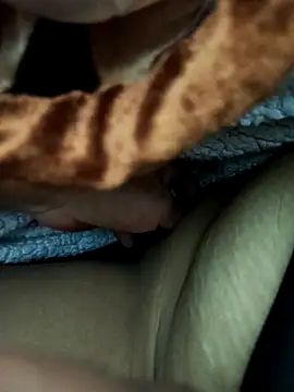 ache45 online show from March 10, 2026, 10:26 pm