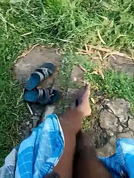 dolphiinn online show from January 8, 2026, 2:03 am