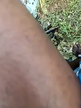 dolphiinn online show from February 5, 2026, 2:16 am