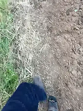 dolphiinn online show from February 14, 2026, 1:24 am