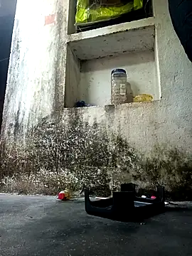 cute diya 12 online show from December 14, 2025, 2:50 am