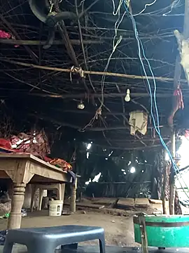 cute diya 12 online show from December 17, 2025, 3:01 am