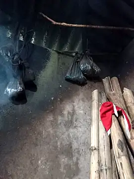  Helala  online show from February 26, 2026, 8:35 am