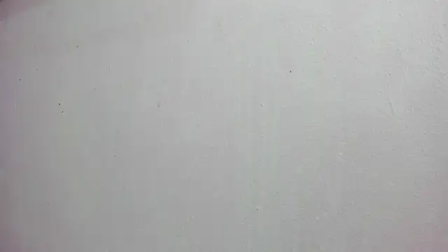 scarlett646 online show from November 14, 2025, 3:05 am