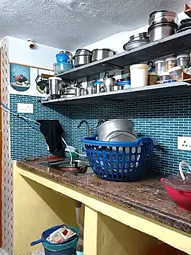 bakyasree143 online show from November 30, 2025, 8:24 pm