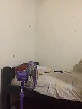 AE 03 online show from February 12, 2026, 5:02 am