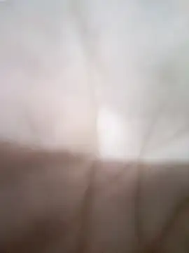 KitedSeizure online show from January 17, 2026, 6:18 am