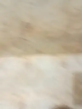 king godgm online show from December 20, 2025, 1:34 am