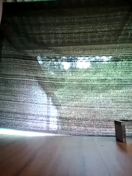 Georgia here online show from October 5, 2025, 12:31 am