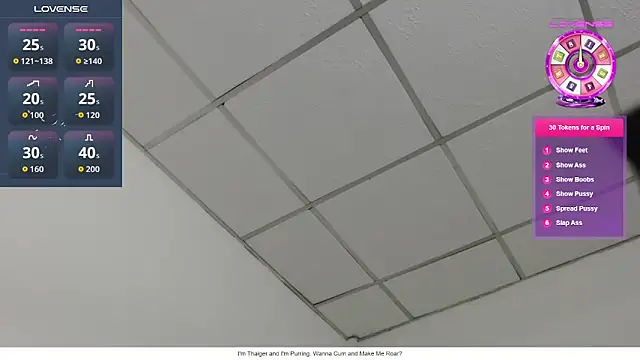 Busty-Thaiger online show from June 1, 2026, 6:53 pm
