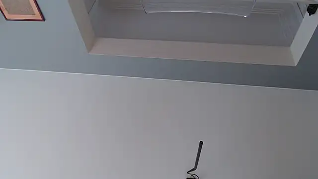 knodli online show from October 21, 2025, 11:55 am