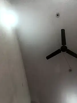 Appypie online show from November 8, 2025, 5:51 am