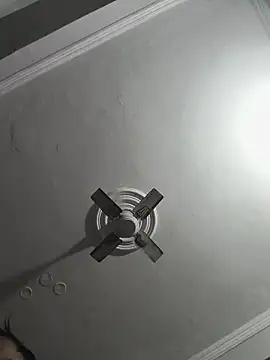 vardh033 online show from November 19, 2025, 8:47 am