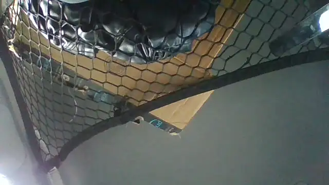 Leshok online show from September 11, 2025, 2:28 pm