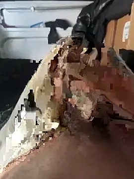 Snapshot of markusnumberone chatting on April 6, 2026, 12:17 pm markusnumberone online show from April 6, 2026, 12:17 pm