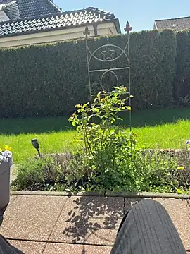 jovi Yeylo187 online show from April 21, 2026, 11:49 am