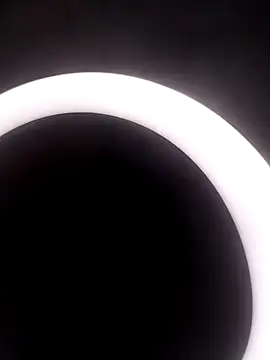 Merlylee online show from October 15, 2025, 9:37 pm