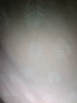 xxminou online show from November 26, 2025, 12:33 am