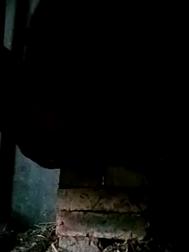 Snapshot of NegroArg_22 chatting on October 2, 2025, 9:44 pm NegroArg 22 online show from October 2, 2025, 9:44 pm