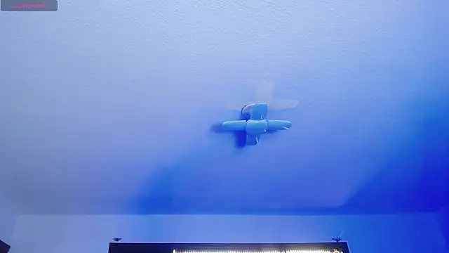  Charlotte Collins  online show from March 7, 2026, 2:14 pm