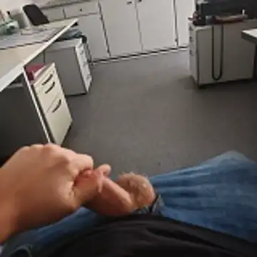 stunning stallion online show from November 16, 2025, 11:16 am