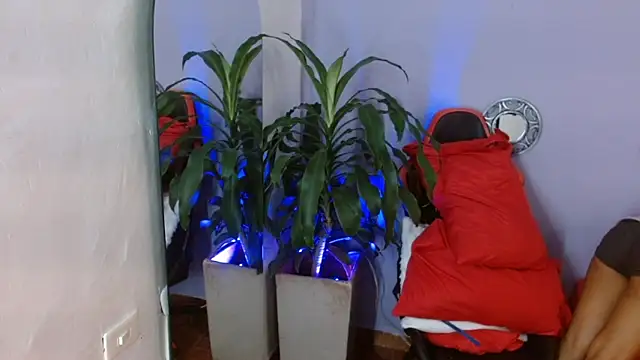 Snapshot of ivy_scorpio chatting on October 15, 2025, 5:51 am ivy scorpio online show from October 15, 2025, 5:51 am