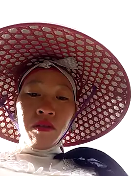 tcm-cute online show from November 14, 2025, 1:04 am