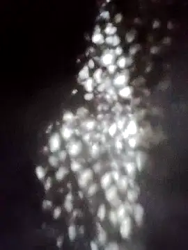 Perropa online show from January 18, 2026, 5:28 pm