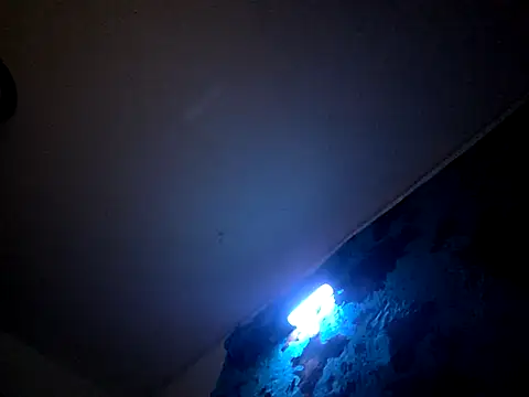 Bigdickdavis6969 online show from February 15, 2026, 2:58 pm