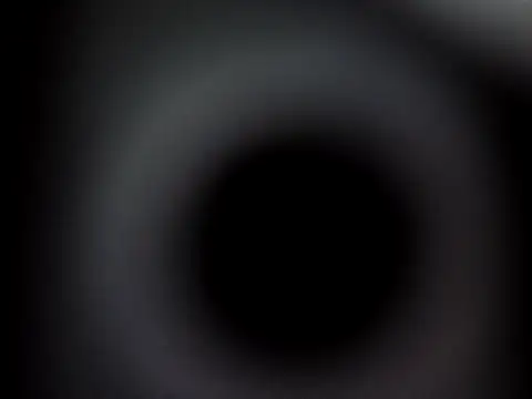 Snapshot of Ricotta1 chatting on December 21, 2025, 12:01 pm Ricotta1 online show from December 21, 2025, 12:01 pm