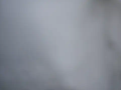 Snapshot of Ricotta1 chatting on December 22, 2025, 7:49 am Ricotta1 online show from December 22, 2025, 7:49 am