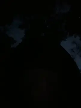 min9811 online show from April 22, 2026, 10:50 am