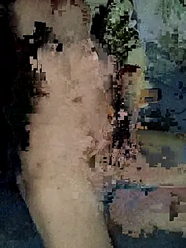 Snapshot of xxxxxcgbn chatting on February 5, 2026, 4:17 am xxxxxcgbn online show from February 5, 2026, 4:17 am