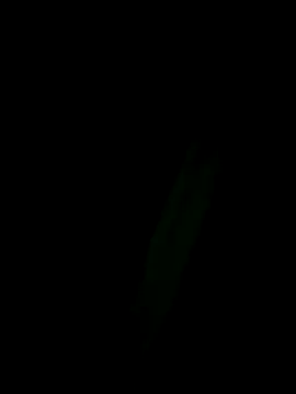 Marleymols online show from December 2, 2025, 1:55 am