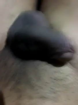 MH 12 11 online show from September 22, 2025, 4:31 pm