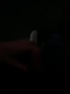 Luck  090 online show from September 19, 2025, 11:16 pm