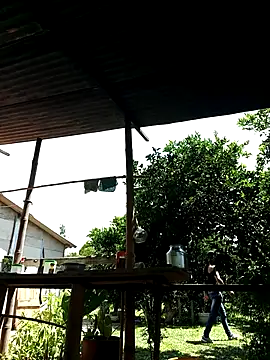 Snapshot of AlphaAlterX chatting on October 2, 2025, 6:04 pm AlphaAlterX online show from October 2, 2025, 6:04 pm