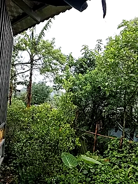 ALIENHR38 online show from April 26, 2026, 4:43 am