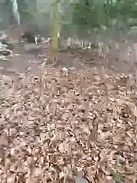 Snapshot of andymatthisbwc chatting on February 25, 2026, 2:59 pm andymatthisbwc online show from February 25, 2026, 2:59 pm