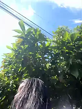 Sophie Dreamss online show from October 3, 2025, 7:33 pm