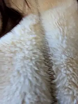 sexy7883 online show from March 13, 2026, 9:38 am