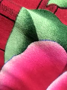 Snapshot of Family02 chatting on November 26, 2025, 4:41 pm Family02 online show from November 26, 2025, 4:41 pm