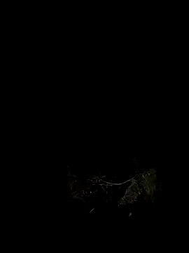 Adele Pinkk online show from October 7, 2025, 12:02 pm