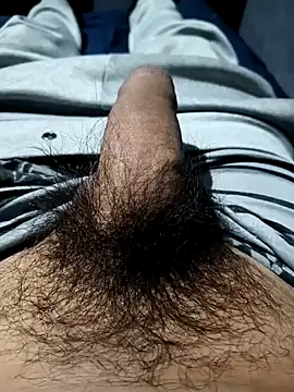 Aaia93 online show from November 3, 2025, 5:52 am