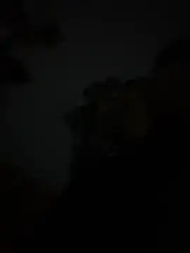 szk2412 online show from February 16, 2026, 1:40 pm